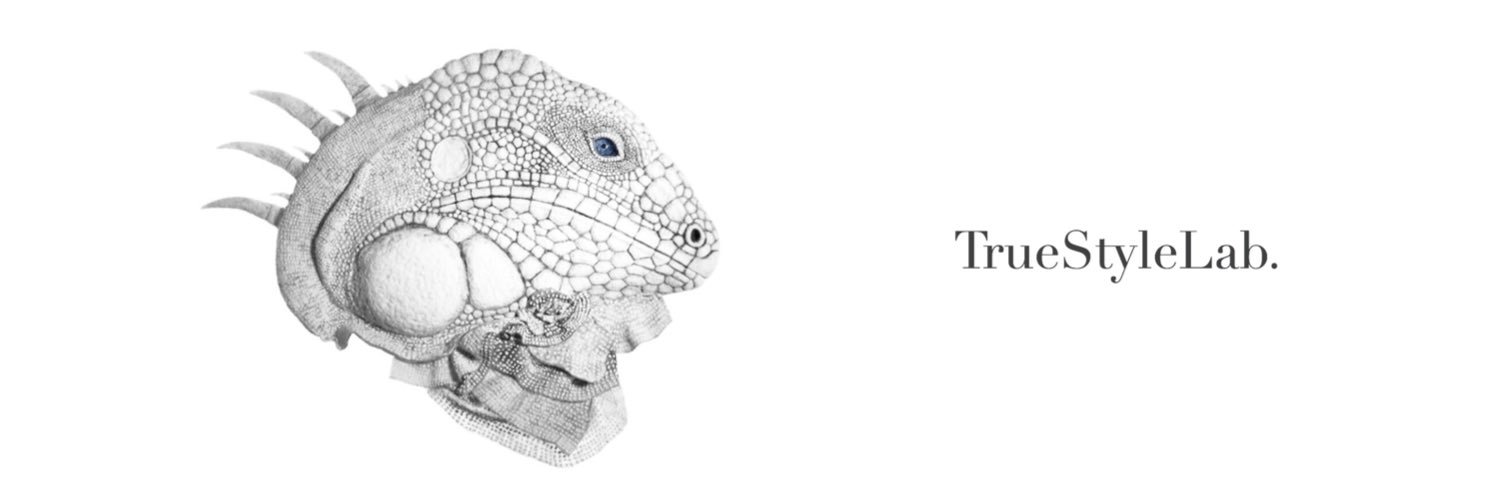 Truestylelab's profile banner image