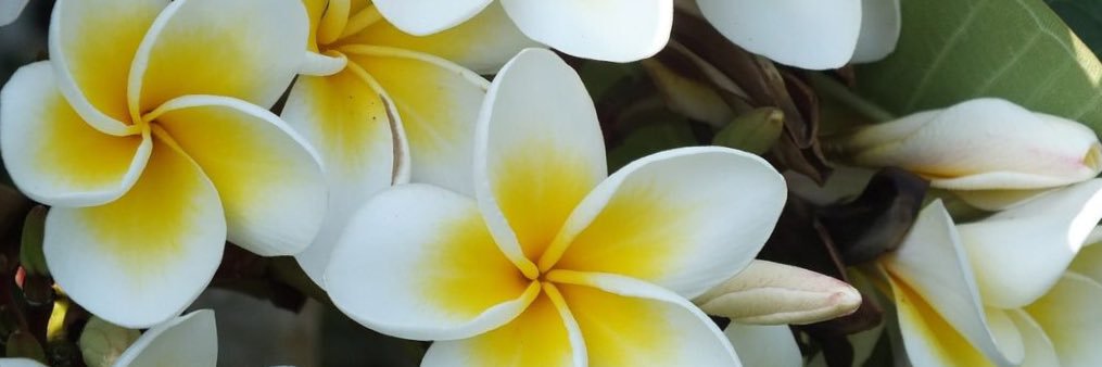 mari__rdz's profile banner image