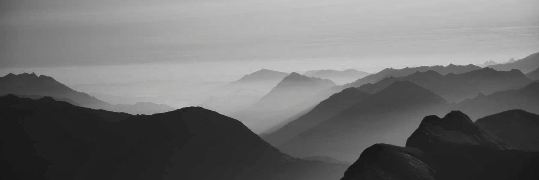 nigel_abello's profile banner image