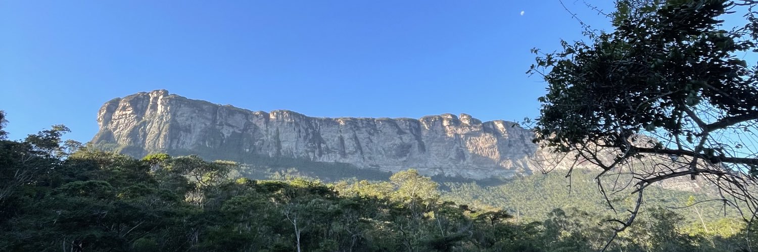 titomalves's profile banner image