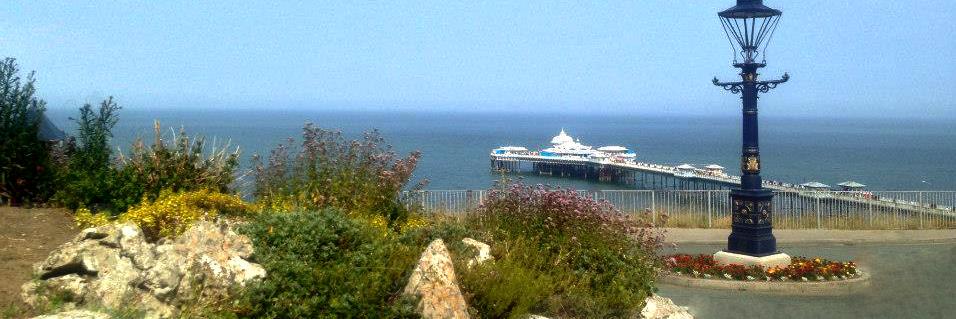 Llandudno HA banner