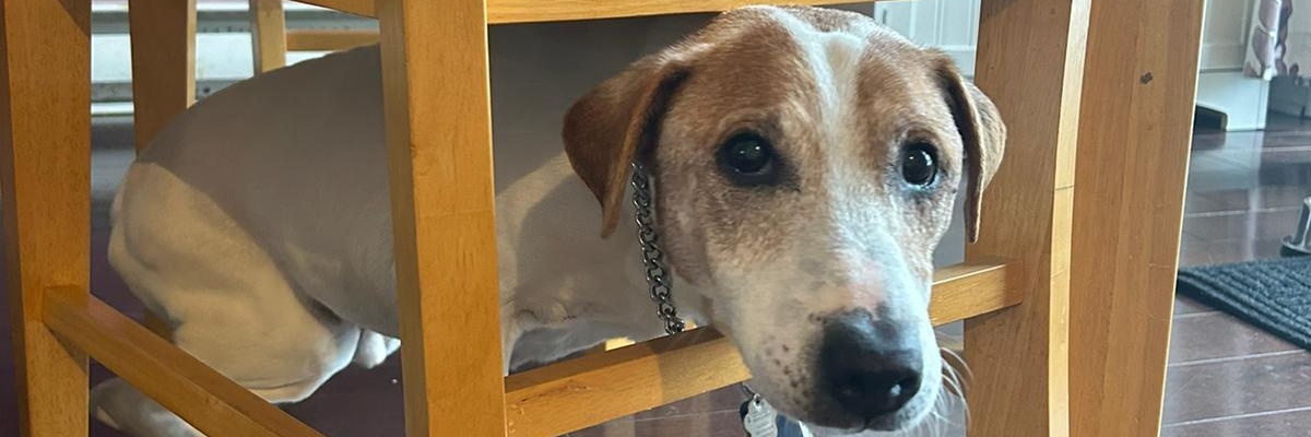 Chef James 👨‍🍳 banner