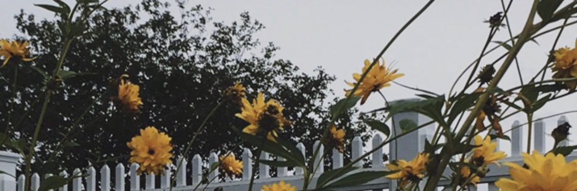 SarahSmiIes_'s profile banner image