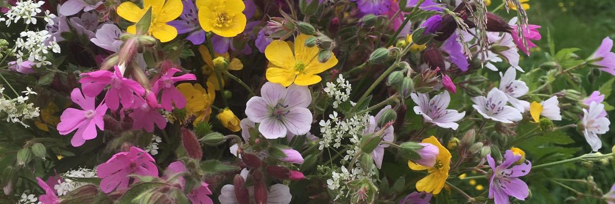 KarinStephansso's profile banner image