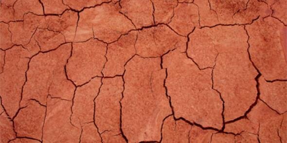 reddirtstudi0's profile banner image