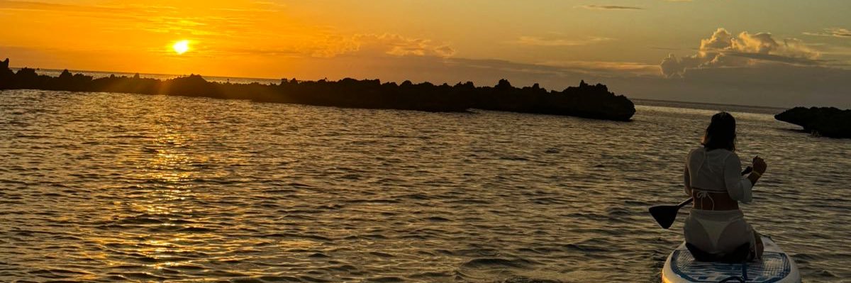 1Lenipse3's profile banner image