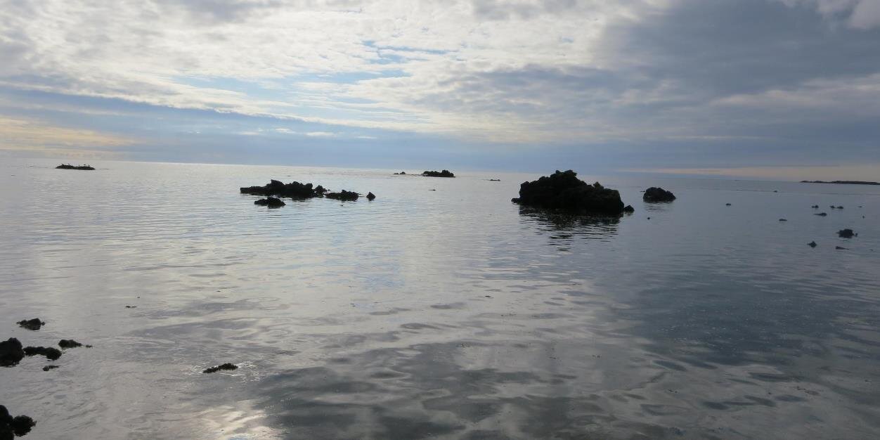 Taina Vallander banner