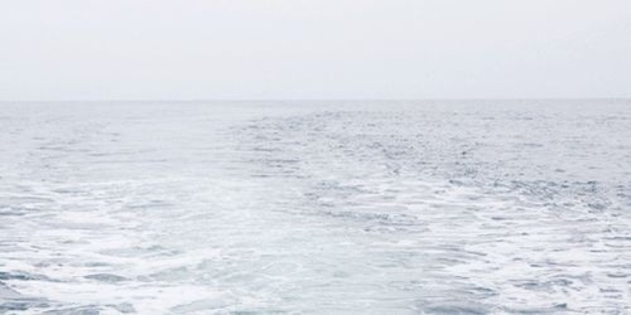 sashambkgdr's profile banner image