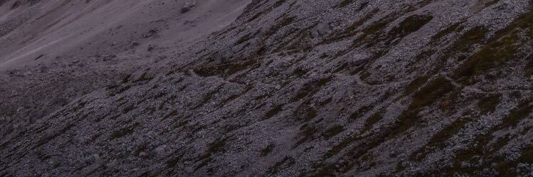 slverspeedster's profile banner image