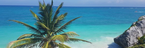 MrsFPrendergast Profile Banner