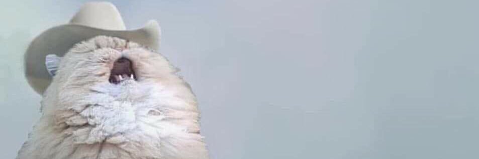 danielmadisyn's profile banner image