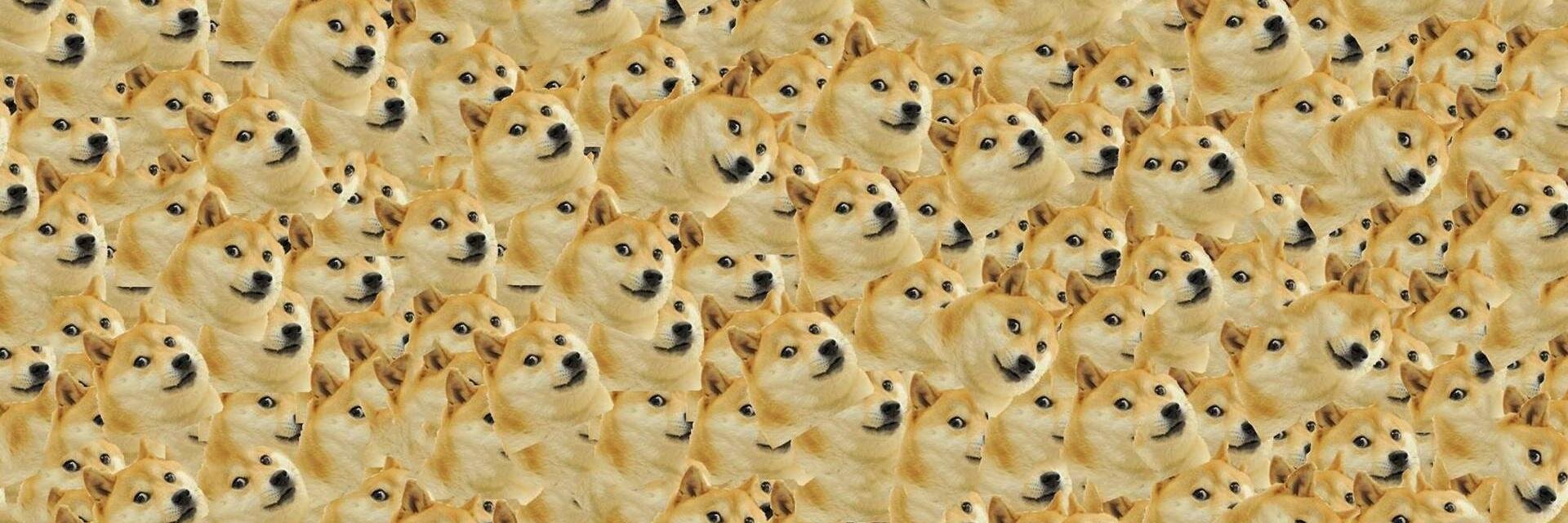 QueenOfShibe's profile banner image