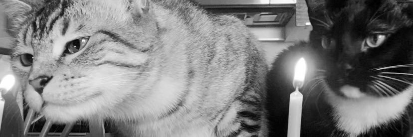 KaitlinMarie46's profile banner image