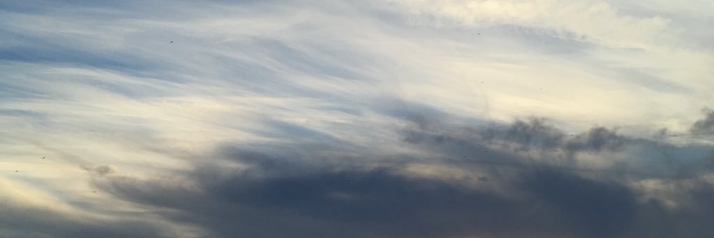 BuchananMina's profile banner image