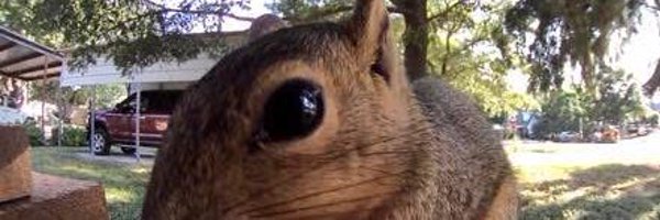 livvmeow Profile Banner