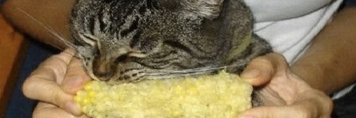 janebaker_'s profile banner image