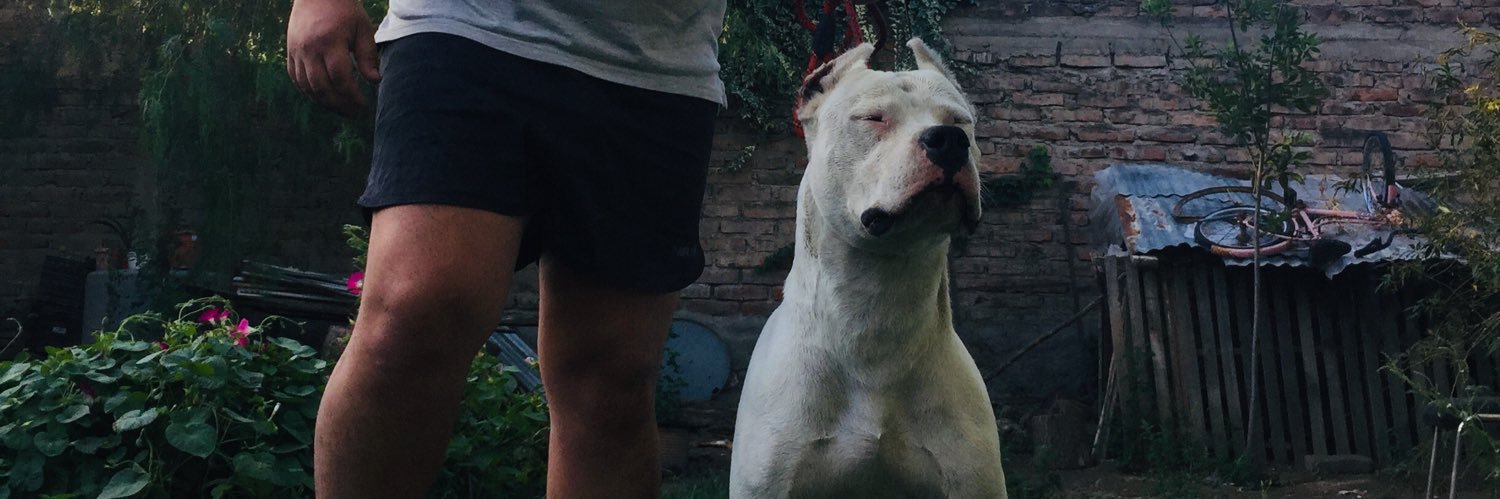 JulianMorgado3's profile banner image