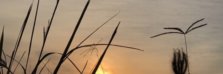 _xak11's profile banner image