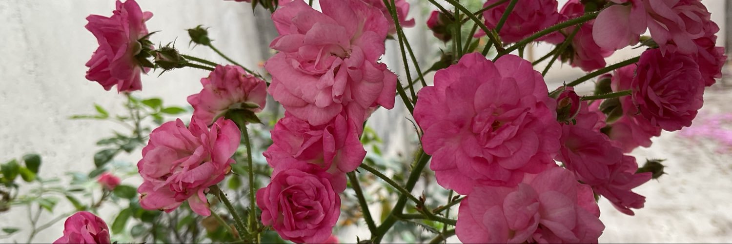 53Elia's profile banner image