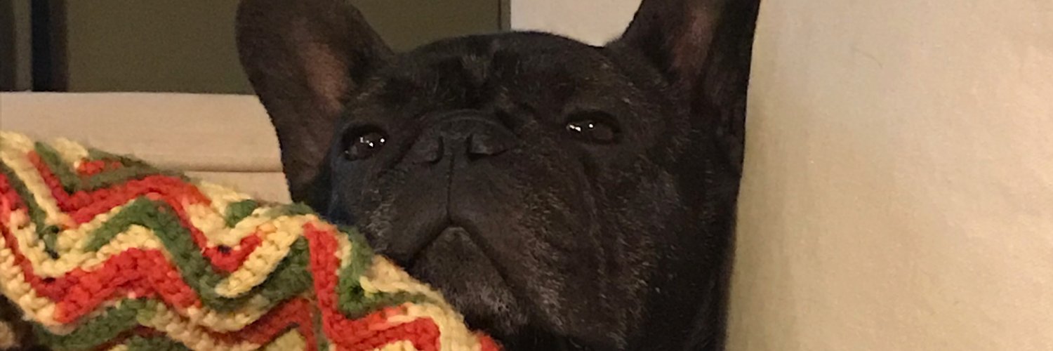 RealMattyMcBoy's profile banner image