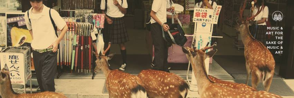 wild_kindness Profile Banner