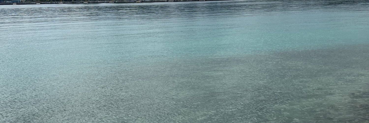 LionNationRF's profile banner image