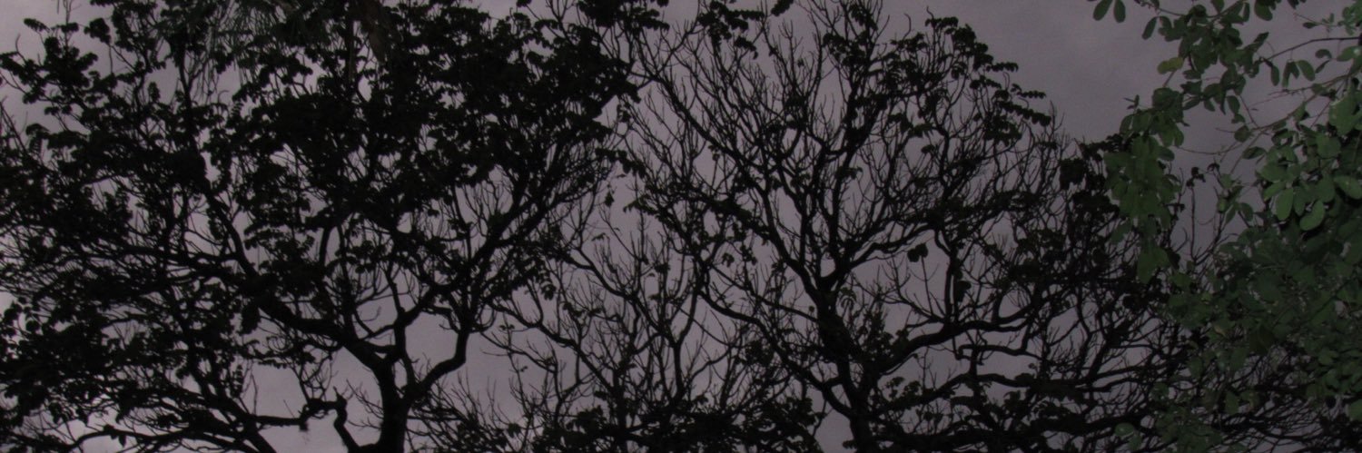 Lu_Arias_T's profile banner image