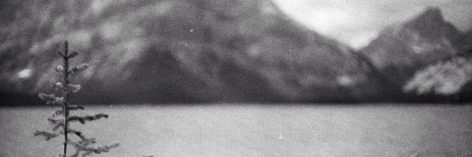 _mintcake's profile banner image