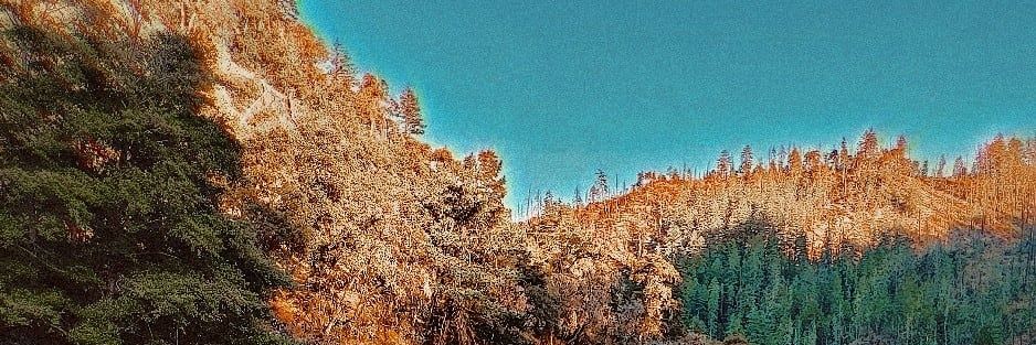 thirdeye_indigo's profile banner image
