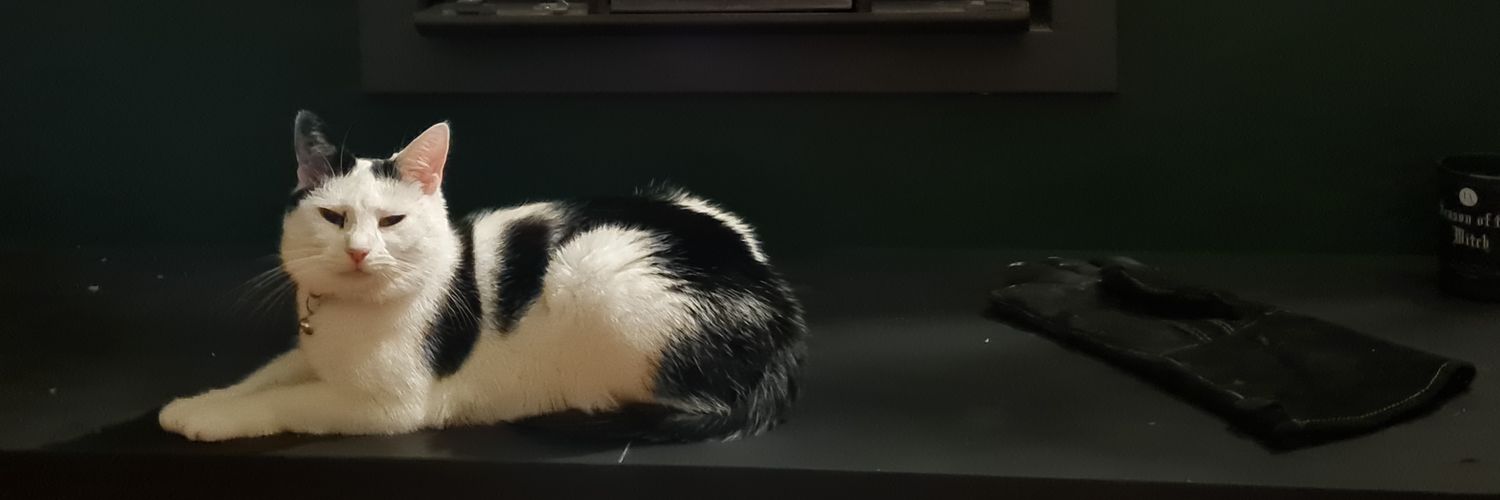 bletherer1's profile banner image