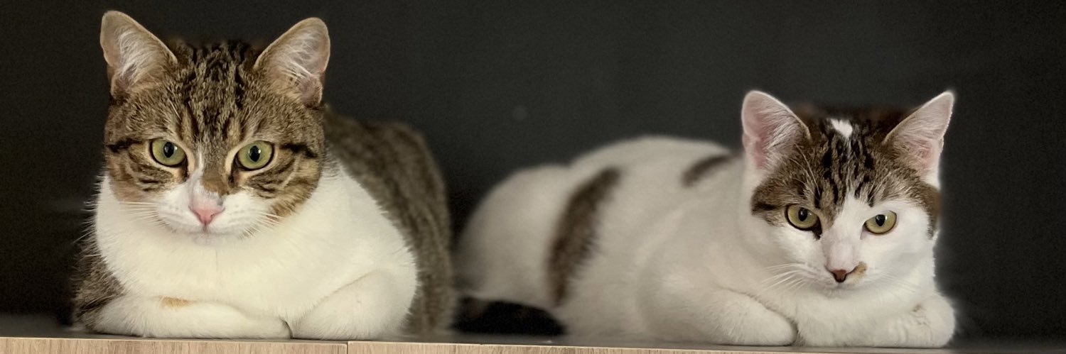 milictoria's profile banner image