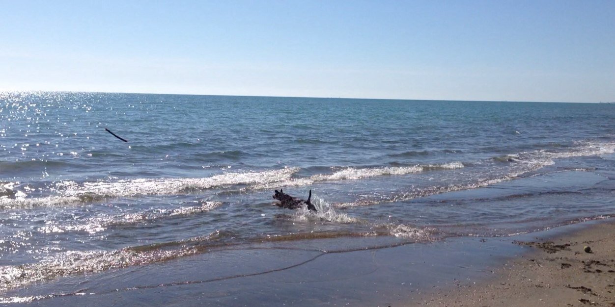 Paolo Chiarantano banner