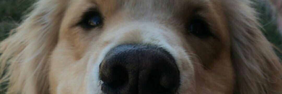 harsh_s10's profile banner image