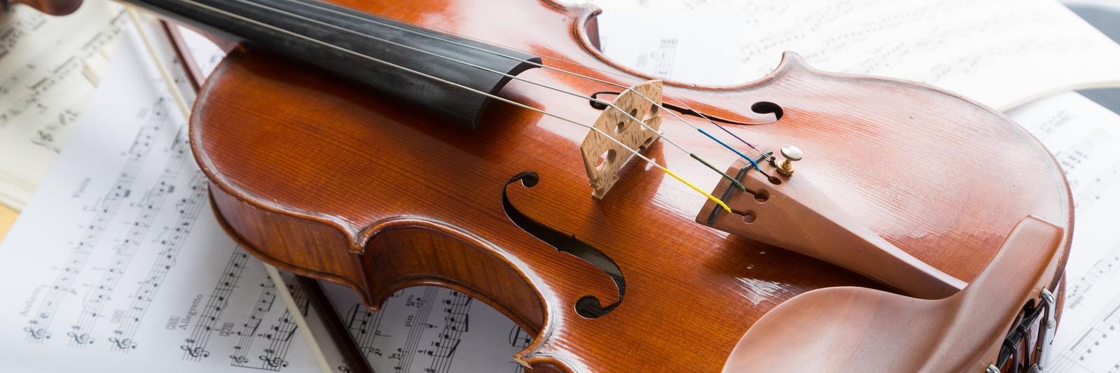 violin_kuma's profile banner image