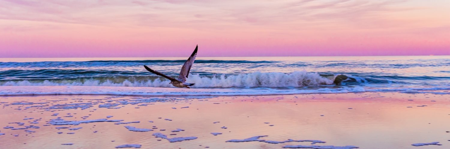 Jsheaphoto22's profile banner image