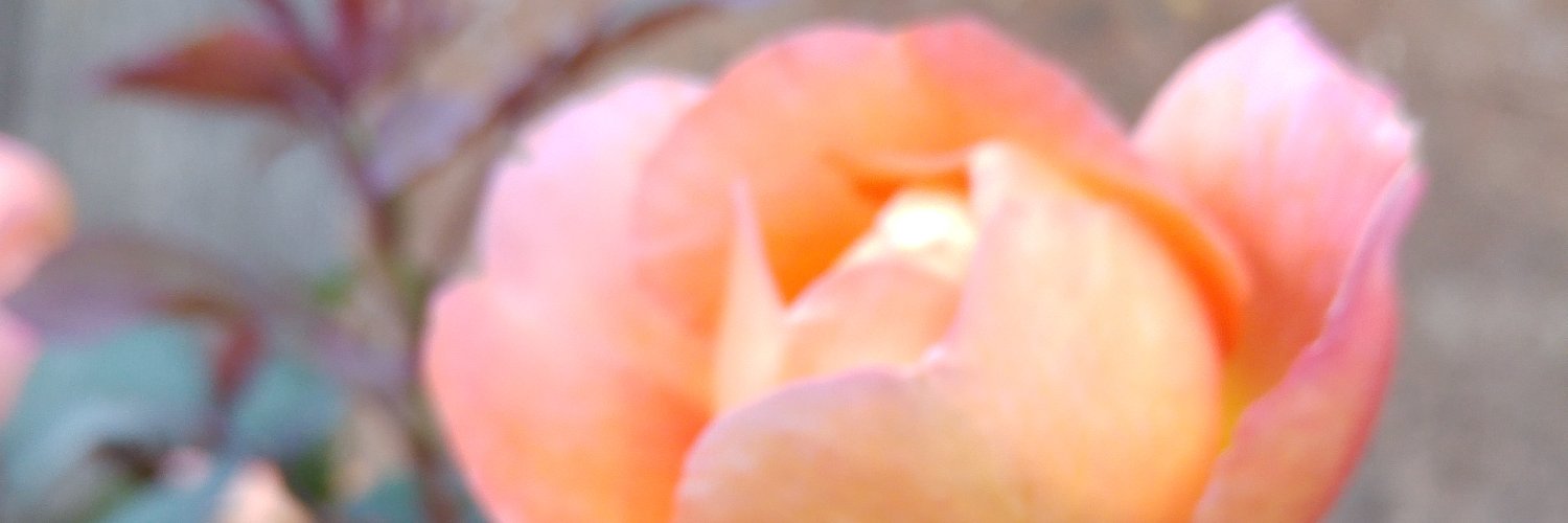 TheOracleMaker's profile banner image