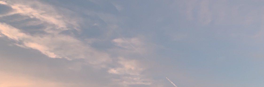 dearsunlight's profile banner image