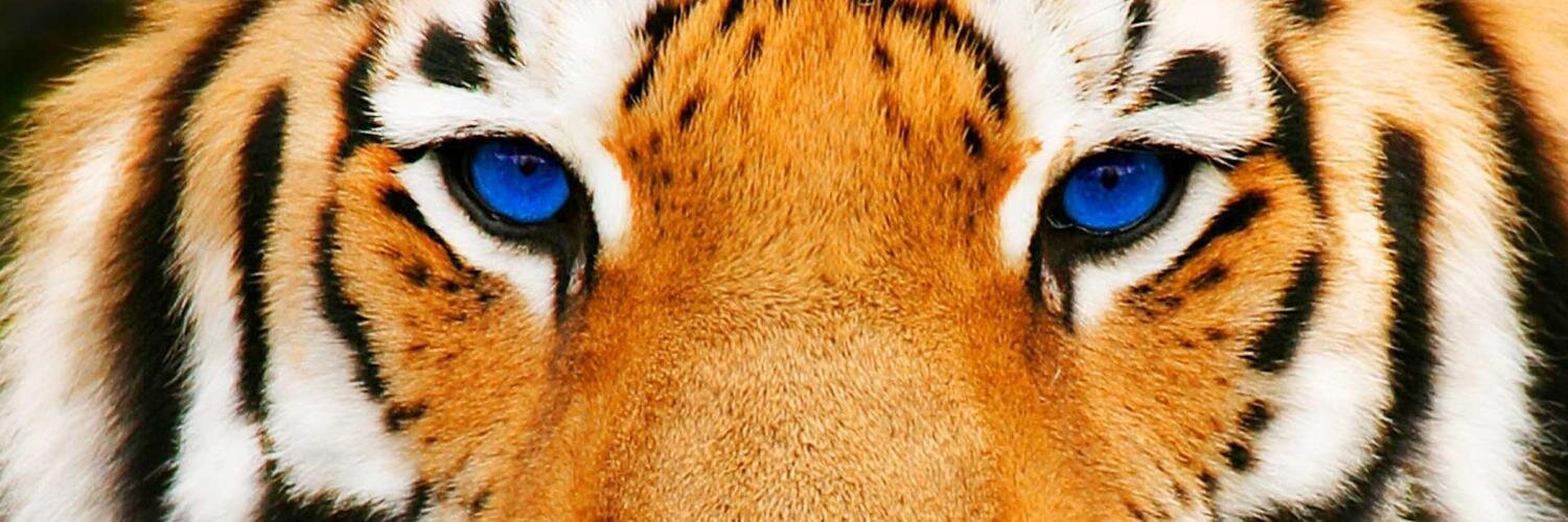 Kate_sany's profile banner image