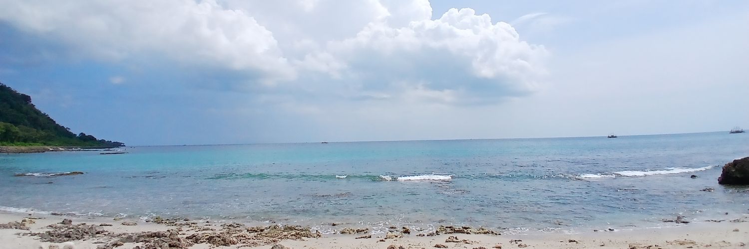 det 🍉🍉🇵🇸🇵🇸 banner