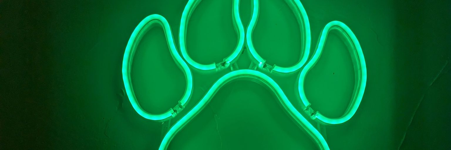 NaughtyDook's profile banner image