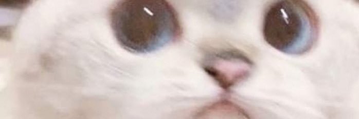 delysmelly's profile banner image