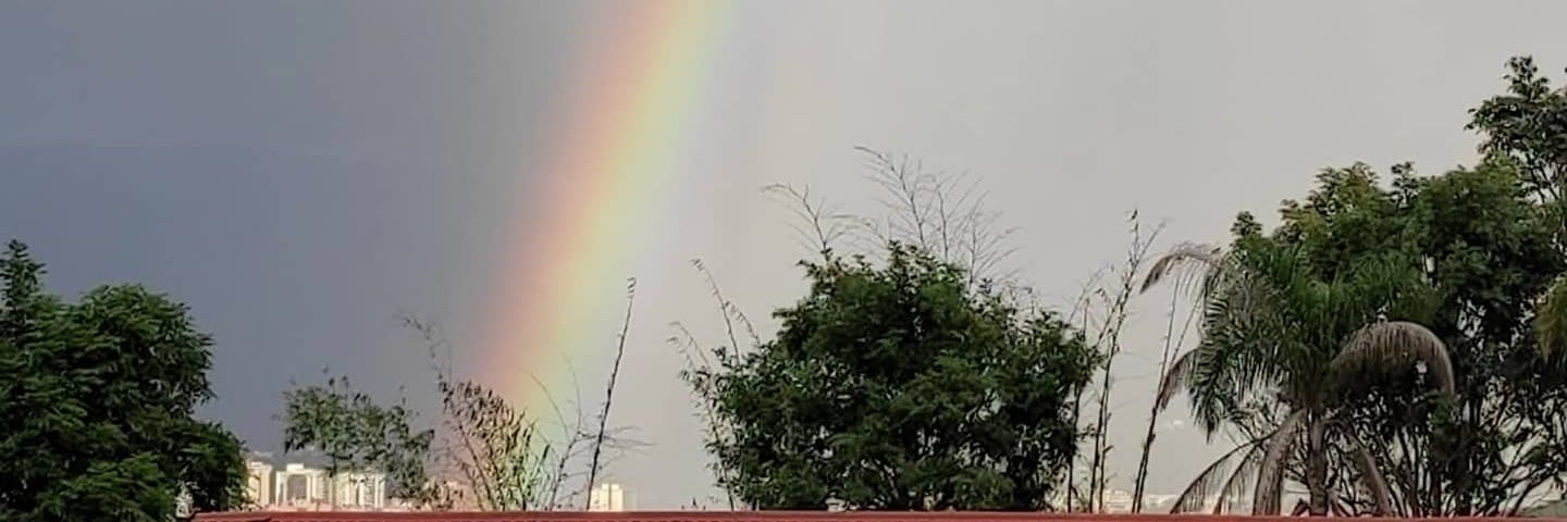 mfarnetano's profile banner image