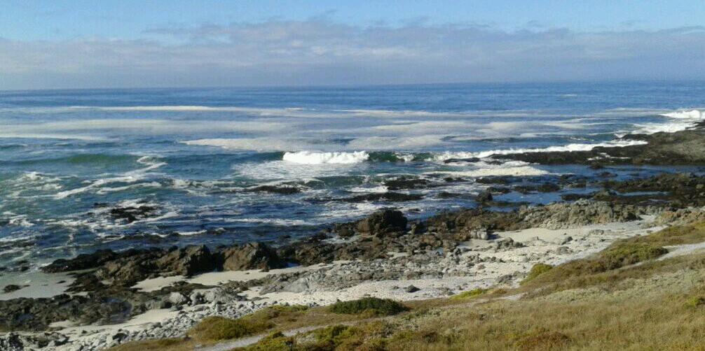 BrandActivizt's profile banner image