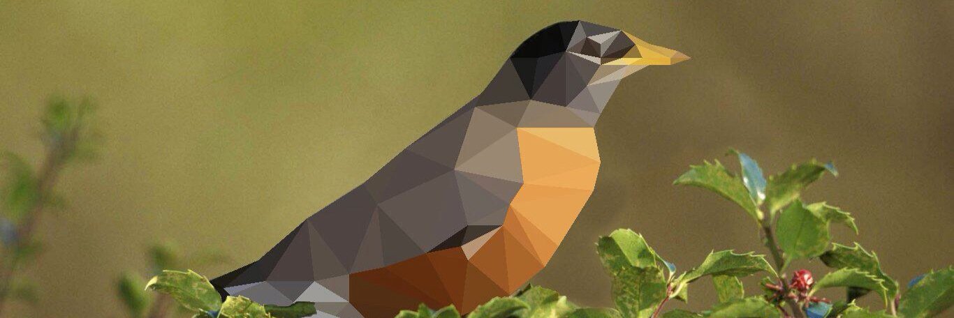 saluvd's profile banner image
