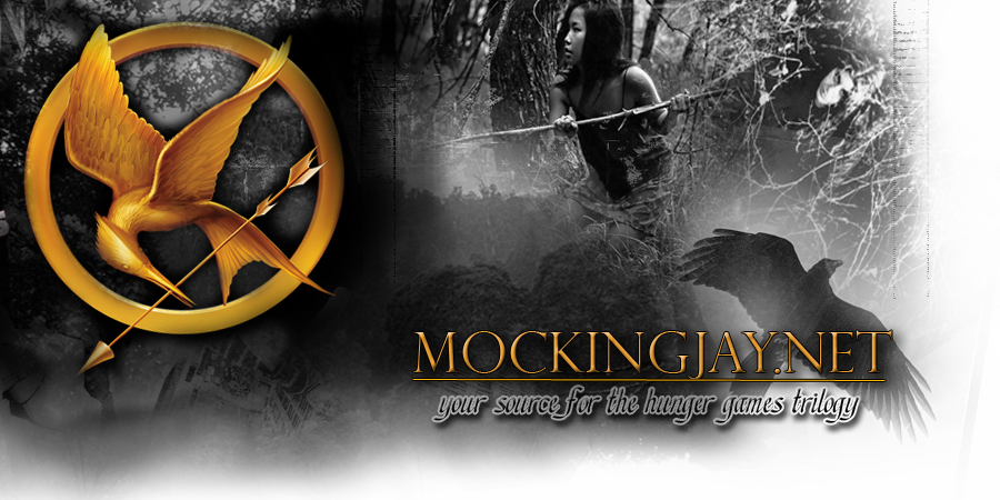 mckingjay32's profile banner image