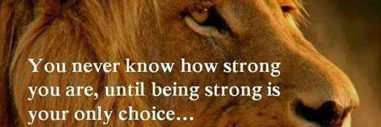 Jason Roberts banner