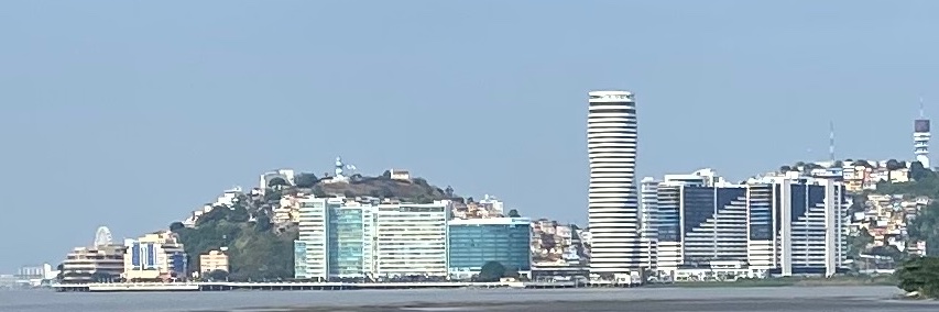 Jorge G Alvear banner