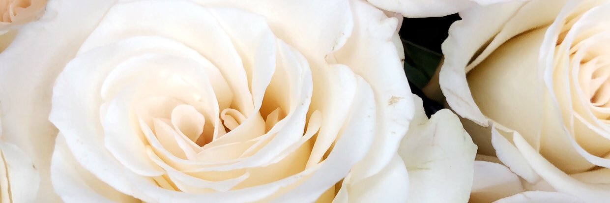 stephhhakneeee's profile banner image
