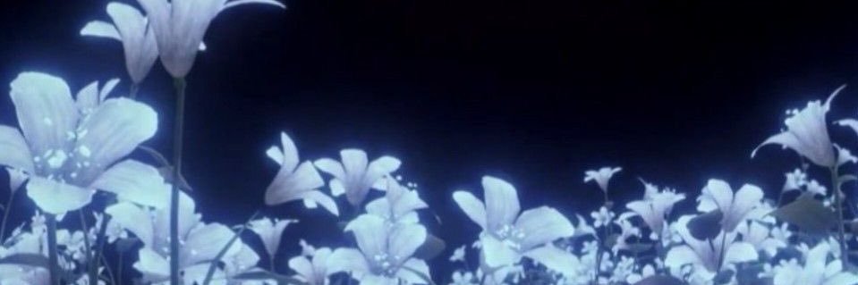 BLVKE_ROS's profile banner image