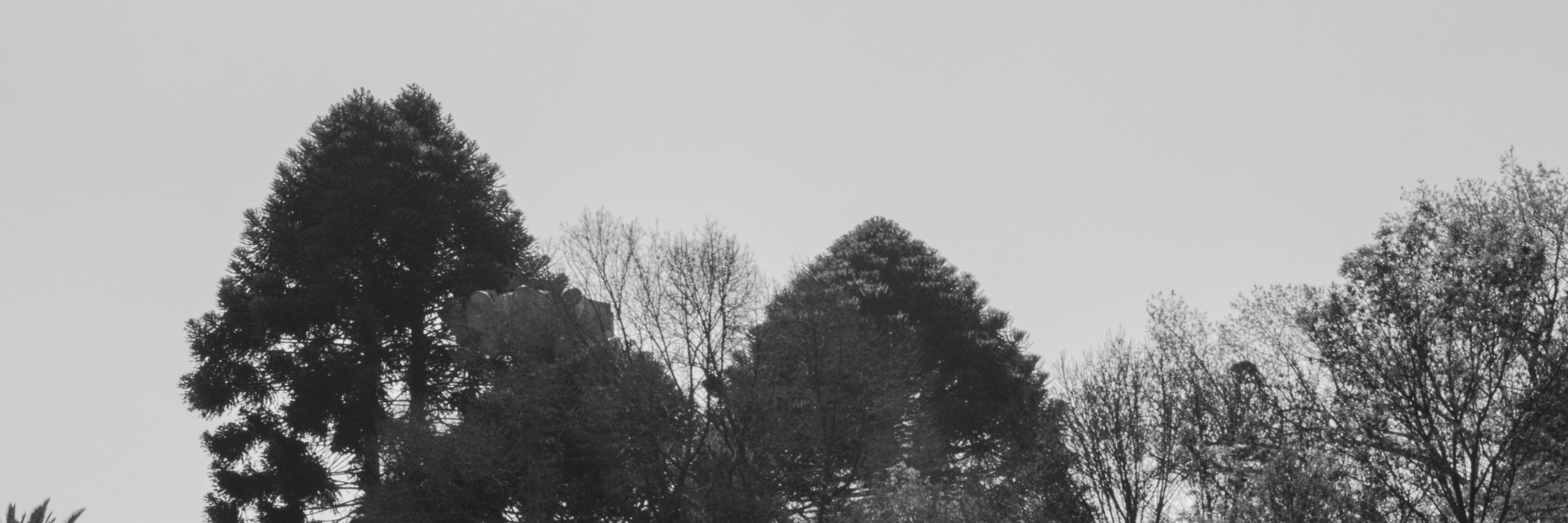 soulchaavez's profile banner image